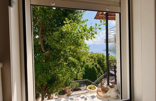 Donji Morinj Villa | Villa Terrazza