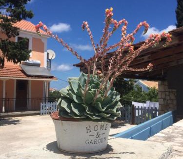 Antipata Villa | Villa Tettix (Τέττιξ)