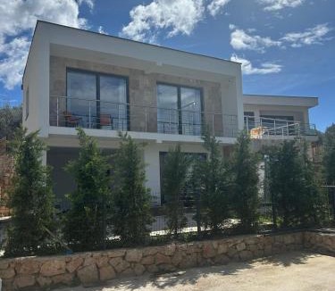 Bar Villa | Villa Tri masline
