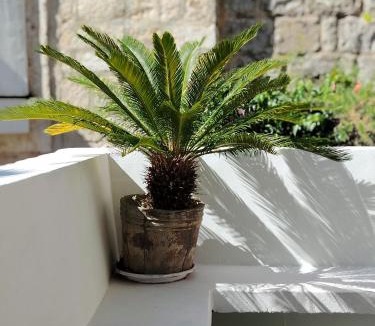 Old Town Villa | Villa Urbana, Old Town Budva
