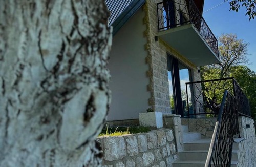 Poscenje Villa | Villa Vasilije