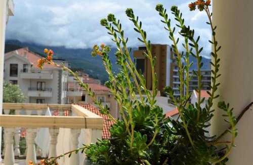 Babin do Apartment | Villa Vujačić