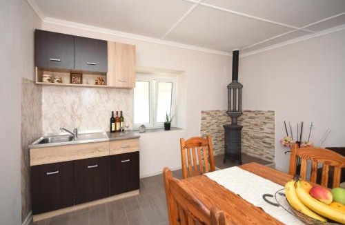 Donje Polje Apartment | Village house Borozan