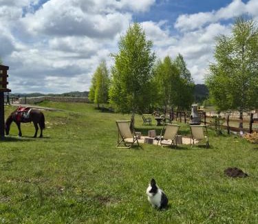 Zabljak House | Villas Sunny Hill