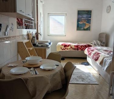 Plav Apartment | Visitor view apartment