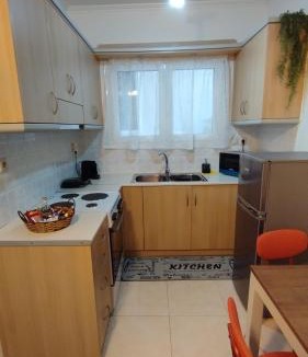 Ioannina Apartment | Votanikos Hidden Gem