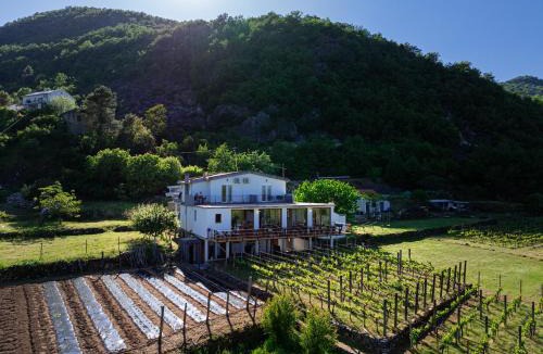 Karuc House | Vržina Farm House Skadar Lake