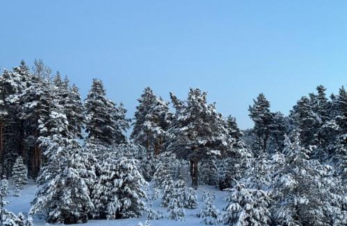 Zabljak Ski Chalet | Wood heaven