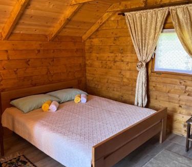 Milosevici House | Wooden house