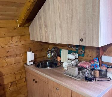 Milosevici House | Wooden house