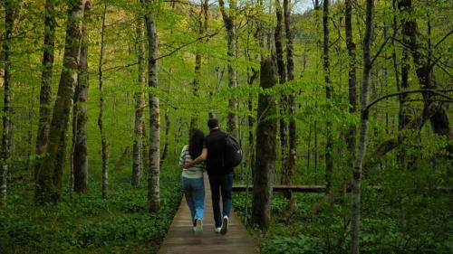 Kolasin Hotel | Wulfenia Hotel & Spa