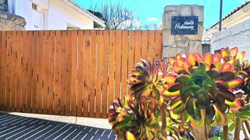 Elation House | Zante Hideaway I nearby Shipwreck