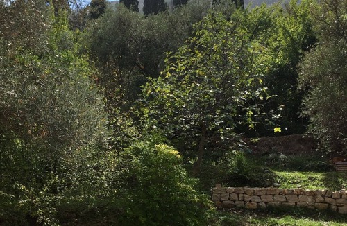 Igalo Apartment | Zazenda House with Sea and Mountain Views and Spacious Garden