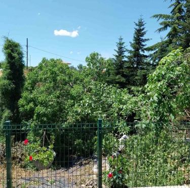 Πραβιτάδικο