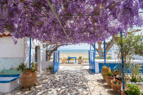 Σπίτι πάνω στο κύμα in Katakolo