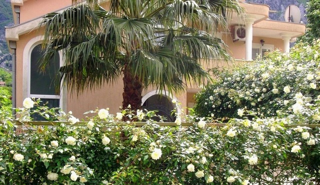 2-bdr ap. with garden, private parking near beach RISAN, KOTOR bay, Montenegro 3