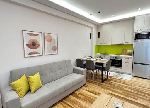 A fully renewed modern apartment