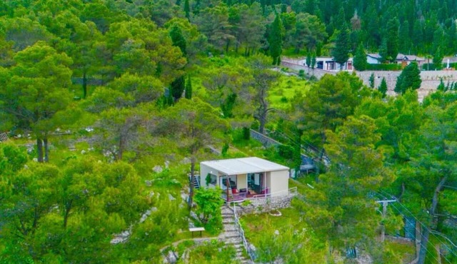 Among The Trees in Shiroka