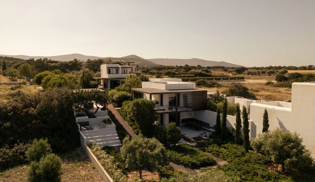 anise & ouzo beach houses with private pool beach front in Naxos