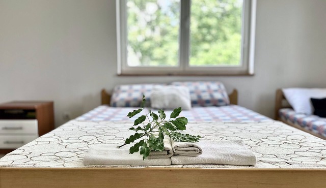 Anit Room 2-private 1-room with own entrance and private bathroom