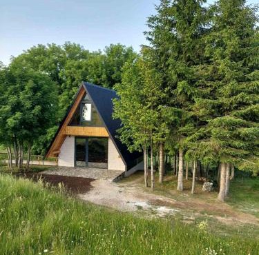 Anovi house