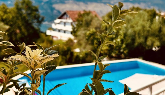 Aparthotel - VILLA JOVICIC
