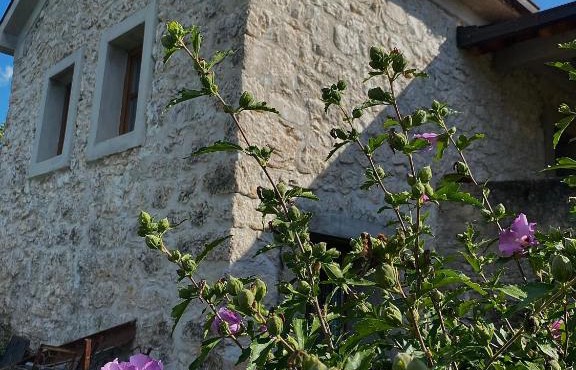 Apartman LENNA