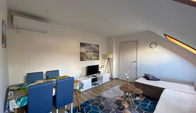 Apartman Vucinic