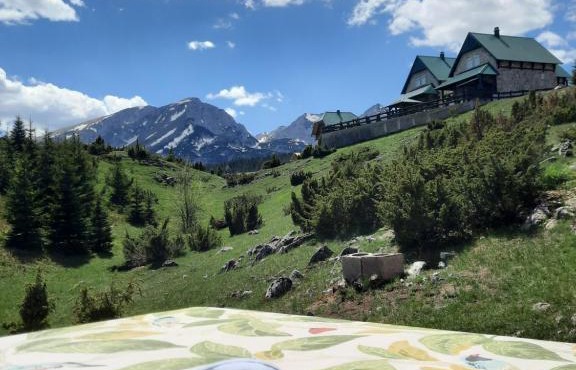 Apartmani 1490