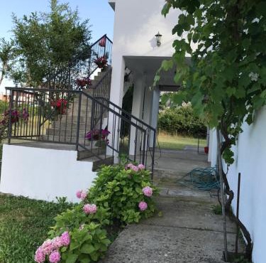 Apartmani Dragana