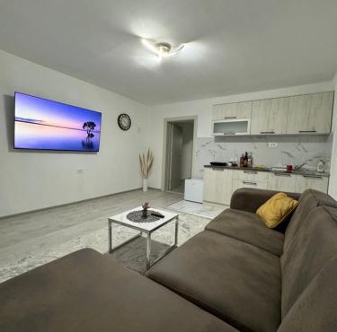 Apartment Airport DD