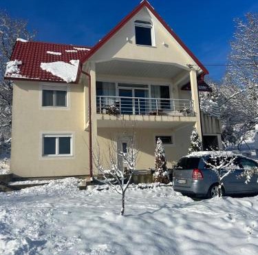 Apartment Bašović