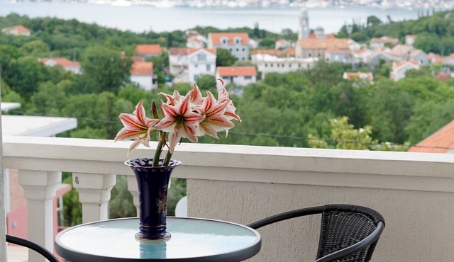 Apartment Bella Vista With Sea View Montenegro