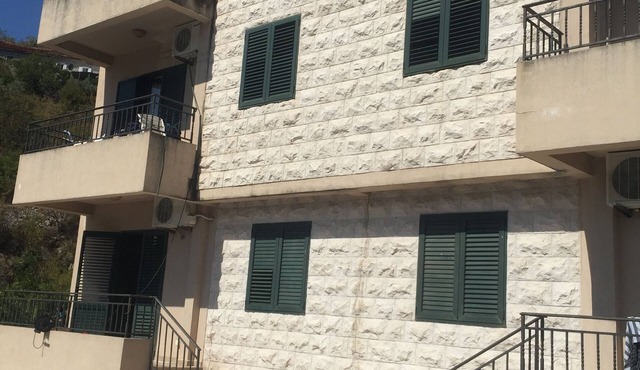 Apartment Irena
