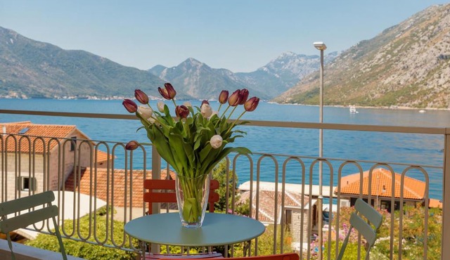 Apartment Ljuta with Sea View
