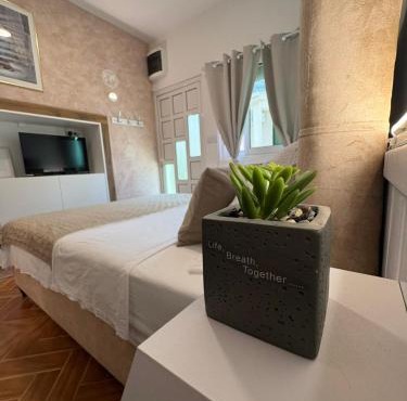Apartment Milica