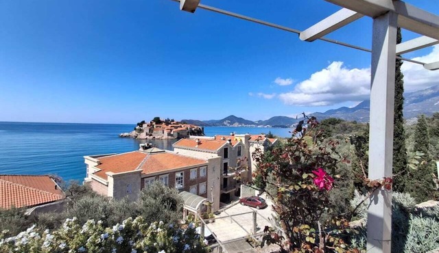 Apartments Andjus