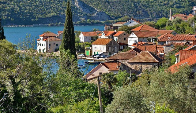 Apartments Dinko Zifra