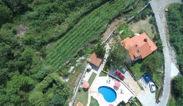 Apartments Pegaz (68031-A2) - Virpazar