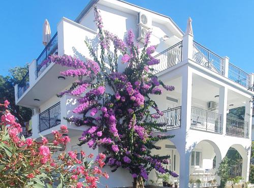 Apartments PROVA *
