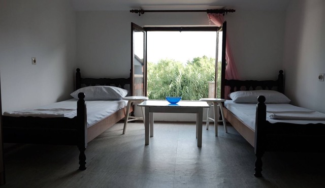 Arte House - Backyard view room