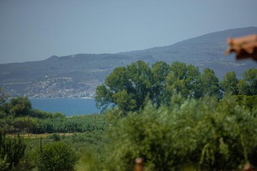 At The Messinian's Bay in Velíka