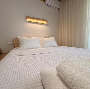 Aurora Suite