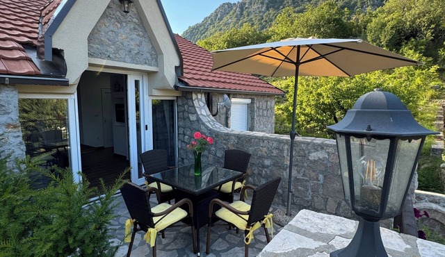 Authentic MNE stone villa with renovated apartments - 10 min to Lake Skadar