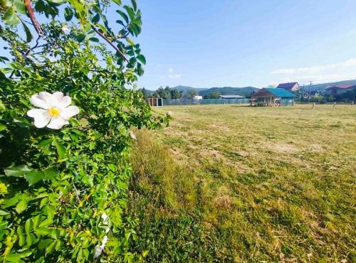Auto Camp, Tents & Country Farm Bjelica
