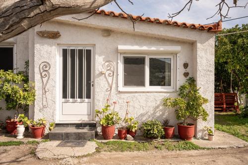 Beautiful cottage house at Mesokampos
