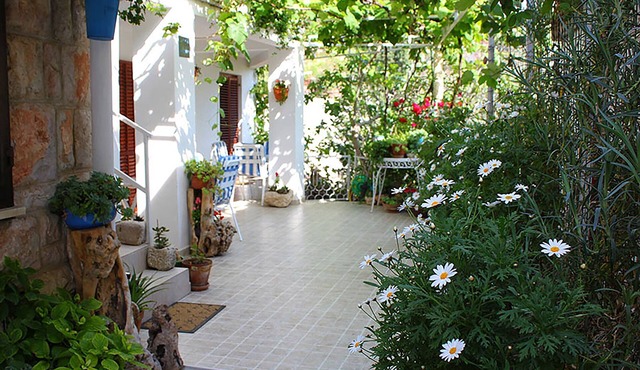 Beautiful studio on ground floor in shadow of vines, Sveti Stefan