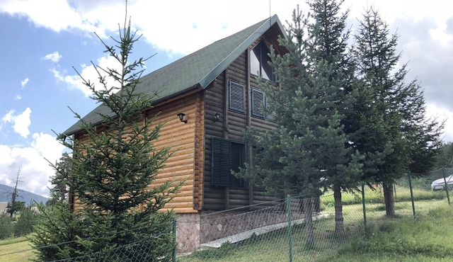 Beautiful wooden house nearby pines forest