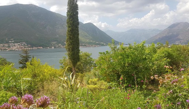 Biser lux - Kotor Bay - Sea view & Swimming Pool