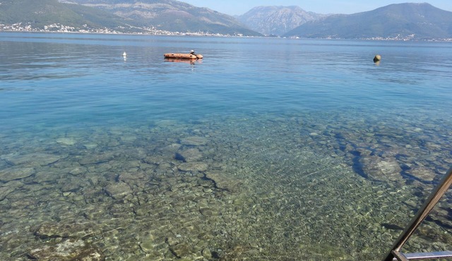 Bright, cozy apartment 50 meters from the beach. Pet-Friendly!